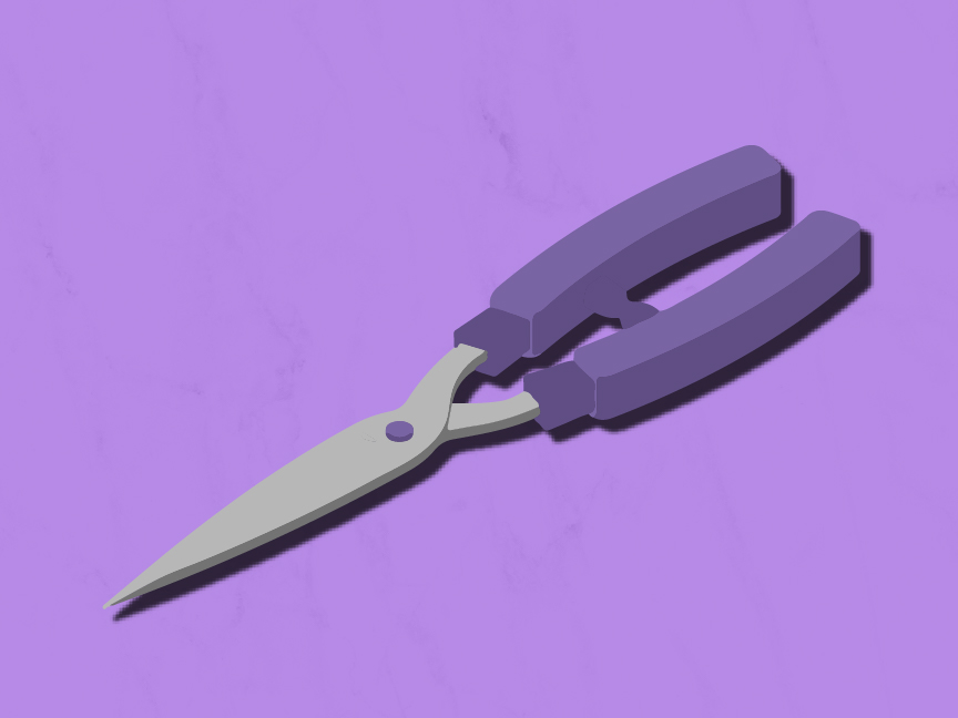 Purple illustration of garden shears to show that a suspect used shears as a weapon