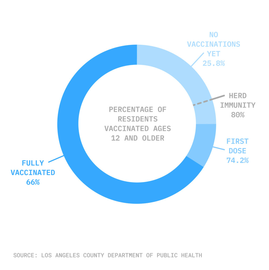 Vaccination pie chart 9-9