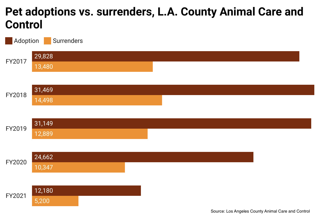 Pet surrenders and adoptions, LA County