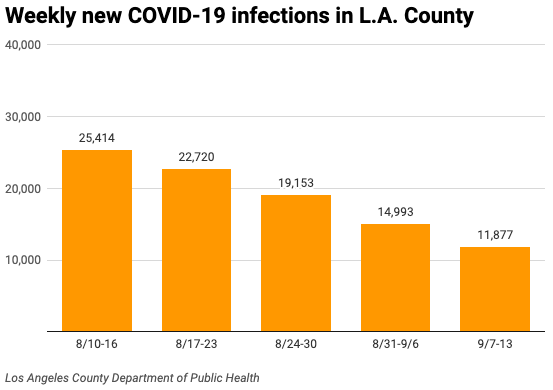 Newsletter size bar chart of weekly COVID-19 infections